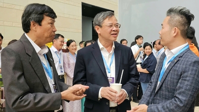 Ketua Can Tho berbicara tentang ide 'lembah makanan' di Delta Mekong