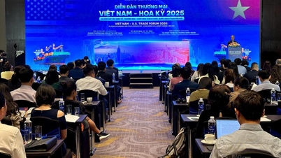 បើកកន្លែងអភិវឌ្ឍន៍ថ្មីនៅវៀតណាម - កិច្ចសហប្រតិបត្តិការពាណិជ្ជកម្មអាមេរិក