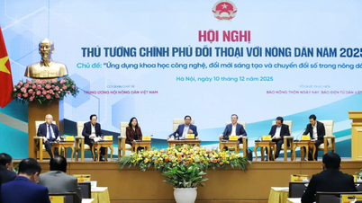 Başbakan Pham Minh Chinh: Her çiftçi, tarım cephesinde bir askerdir.