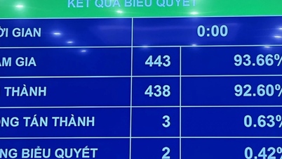 개정된 개인소득세법에 따라 연소득이 5억 VND 미만인 가계사업은 세금이 면제됩니다.