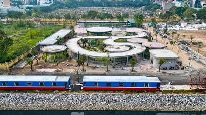 В деревне Ле Мат откроется первый в Ханое центр туризма, посвященный сохранению змей.