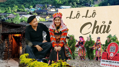 Lo Lo Chai: 持続可能な観光を開発し、地域社会の生活を向上させます。