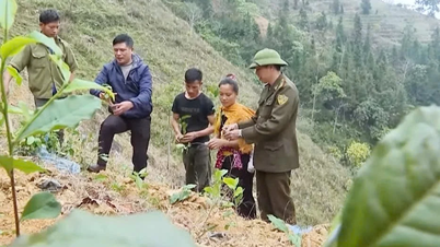סימן צמצום העוני בפה לונג