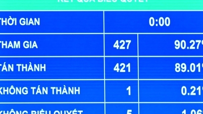 Adunarea Națională a adoptat Legea pentru modificarea și completarea unor articole din Legea privind transferul de tehnologie.