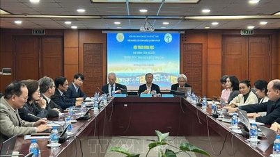 ضمان الأمن الإنساني في سياق التغير العالمي