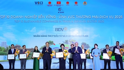 BIDV всьоме було відзначено серед 10 найкращих підприємств сталого розвитку.