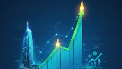 Nachdem die Aktien in nur 5 Handelstagen um 40 % gestiegen sind, bekräftigt Halcom Vietnam (HID) seine „vollständige Objektivität“.