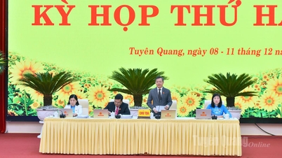 Le Conseil populaire provincial discute des solutions pour le développement socio-économique, la défense nationale et la sécurité.