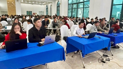 Ministerstvo školství a odborné přípravy uspořádalo školení pro učitele základních škol o aplikaci umělé inteligence ve výuce.