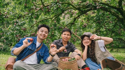 Агротуризм: 5 унікальних сезонів збору врожаю по всьому В'єтнаму