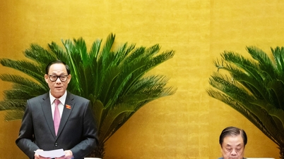 Die Nationalversammlung hat das Gesetz über die Aufsichtstätigkeiten der Nationalversammlung und der Volksräte (geändert) verabschiedet.