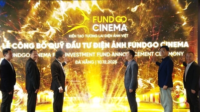 Інвестиційний фонд кіно FUNDGO Cinema планує інвестувати від 5 до 10 мільйонів доларів у в'єтнамське кіно.