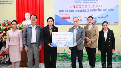 تم توزيع أكثر من 1400 بطاقة تأمين صحي على الأشخاص الذين يمرون بظروف صعبة.