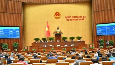 האסיפה הלאומית אישרה את החוק להגנת סודות מדינה (בתוקן).