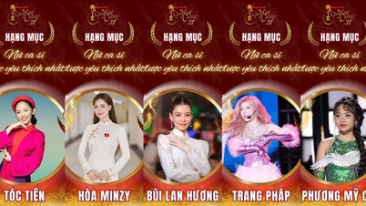 La ronda de votaciones para los 31º Premios Mai Vàng se está calentando.