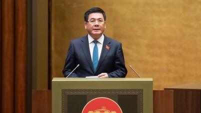 Grâce à la loi sur le commerce électronique : améliorer le mécanisme de gestion et protéger les consommateurs.