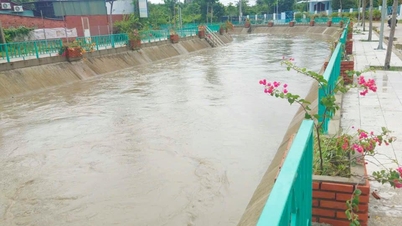 Heavy rain caused localized flooding in some areas of Phan Rang ward.