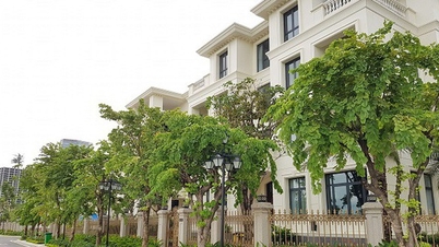 Bonne nouvelle pour les acheteurs, les vendeurs et les locataires de biens immobiliers.