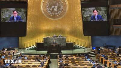 Vietnam bidrar betydelig til havagendaen og fremmer implementeringen av UNCLOS.