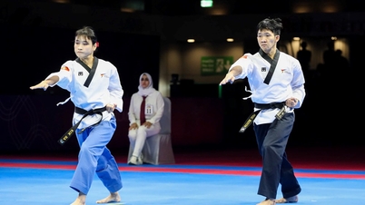 ベトナムのテコンドーチームが金メダルを逃し、不公平な採点をしたとして審判団を訴える。