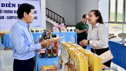 Verbindingen leggen tussen de grenshandel tussen Vietnam en Cambodja.