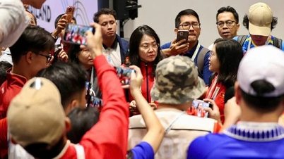 A vietnami taekwondo csapat beperelte a játékvezetőt, hogy visszaszerezze a SEA Games aranyérmét.