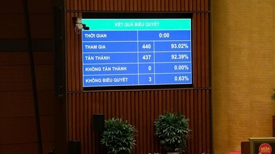 ដាក់ស្នើទៅអាជ្ញាធរមានសមត្ថកិច្ចនូវសំណើសម្រាប់ទីក្រុងហាណូយ និងទីក្រុងហូជីមិញ ដើម្បីបង្កើតទីភ្នាក់ងារសារព័ត៌មានពហុប្រព័ន្ធផ្សព្វផ្សាយឈានមុខគេ។