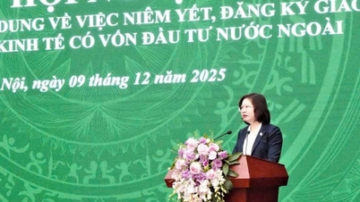 Konferansen formidlet informasjon om notering og handelsregistrering av økonomiske organisasjoner med utenlandsk investeringskapital.