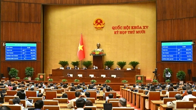 Creación de un entorno jurídico abierto y flexible para las actividades de transferencia de tecnología.
