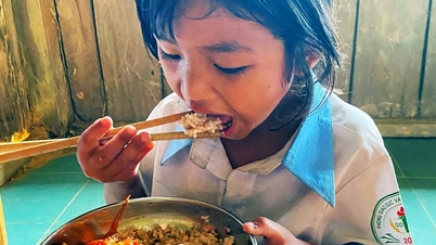 Quang Nams fosterfamilie uttaler seg: Samme navn, men helt uavhengig, null driftskostnader.