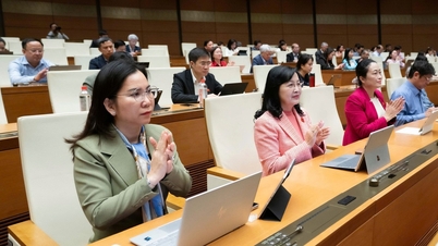 A single set of textbooks will be standardized nationwide starting from the 2026-2027 school year, and the issuance of junior high school graduation certificates will be abolished.