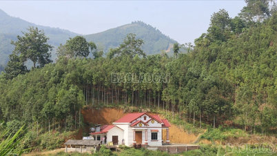 Διαφοροποίηση των μέσων διαβίωσης και επίτευξη βιώσιμης μείωσης της φτώχειας για τους ανθρώπους.