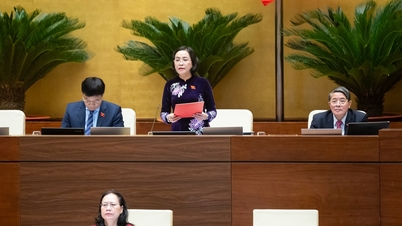 پہلی بار صحافی کا کارڈ جاری کرنے کے لیے، درخواست دہندگان کو صحافت کی مہارت اور پیشہ ورانہ اخلاقیات پر تربیتی کورس پاس کرنا ہوگا۔