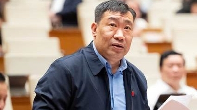 จำเป็นต้องกำหนดความหมายของ "การประมวลผลเบื้องต้นทั่วไป" ให้ชัดเจน และเลื่อนการบังคับใช้กฎหมายภาษีมูลค่าเพิ่มออกไป