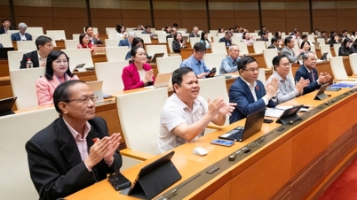 Nationalversammlung verabschiedet E-Commerce-Gesetz: Verschärft die Vorschriften für Livestreaming, identifiziert Verkäufer.