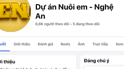 Projectmanager verantwoordelijk voor het opvoeden van kinderen in Nghe An "verlies van contact", advocaat spreekt over signalen van schending