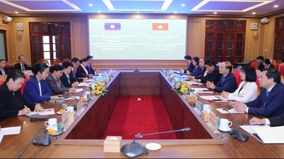 Kamerad Trinh Van Quyet menerima delegasi dari Komite Pusat Front Pembangunan Nasional Laos.