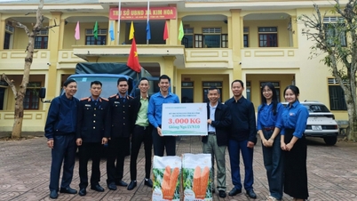 ThaiBinh Seed proporciona 3 toneladas de semillas de maíz a los agricultores de las zonas afectadas por las inundaciones de la provincia de Ha Tinh.