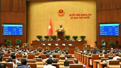 Grønn teknologi er lagt til i loven om teknologioverføring for første gang.