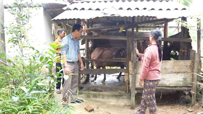 «Зменшення інформаційної бідності» відкриває шлях виходу з бідності для людей у ​​гірських районах Куангнгай.