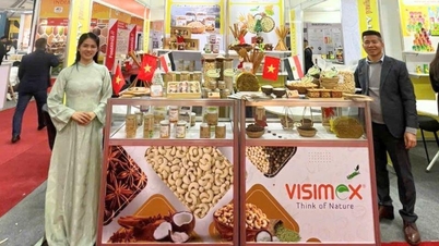 비시멕스의 농산물이 중동 및 아프리카 시장 공략에 나서고 있습니다.