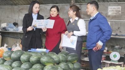 10 दिसंबर, 2025 को डाक उद्योग द्वारा जारी प्रेस विज्ञप्तियों का सारांश