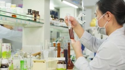 چه چیزی گواهینامه GMP-WHO کارخانه Nam Duoc را بسیار ویژه می‌کند؟