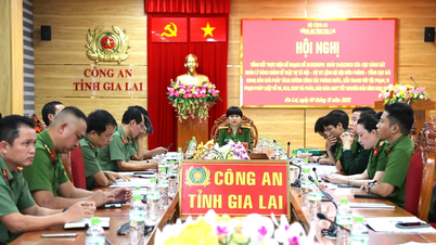 Посилення координації у запобіганні та боротьбі зі злочинністю вздовж кордону.