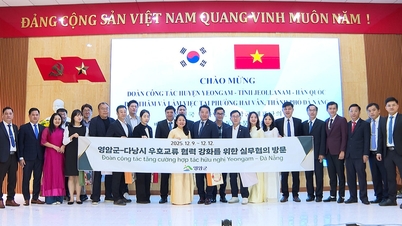 Promocja współpracy rolniczej i pracy sezonowej między okręgiem Hai Van a dystryktem Yeongam (Korea Południowa)