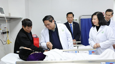 保健分野は、現在の高齢者の役割をケアし、保護し、促進する仕事を行っている。