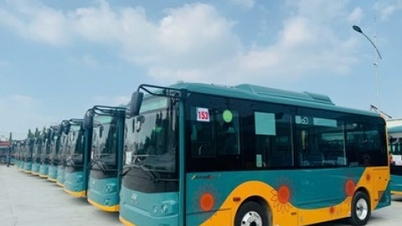 شركة فيتنامية تصدر 1000 حافلة إلى تايلاند لأول مرة.