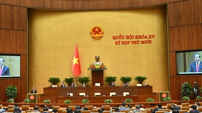 개방적이고, 다양하며, 상호 연결된 직업 교육 시스템을 개발합니다.