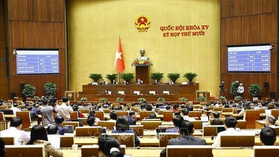 Cấp bách cải thiện ô nhiễm không khí ở Hà Nội, Thành phố Hồ Chí Minh