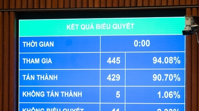 교육 및 훈련의 질에 근본적이고 의미 있는 변화를 가져오는 것.